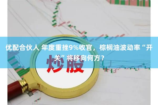 优配合伙人 年度重挫9%收官，棕榈油波动率“开关”将移向何方？
