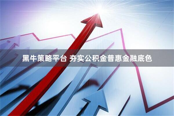 黑牛策略平台 夯实公积金普惠金融底色